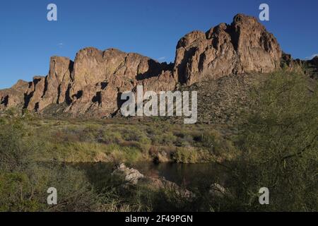 Am unteren Salt River in der Nähe von Mesa, Arizona, gibt es unzählige schöne Felsformationen, saguaro Kakteen und viele andere Pflanzenarten Stockfoto