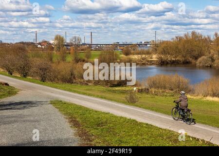 Werthauser Wardt Naturschutzgebiet in Duisburg-Rheinhausen, Autobahn A40 Autobahnbrücke über den Rhein im Hintergrund, Duisburg, Deutschland Stockfoto