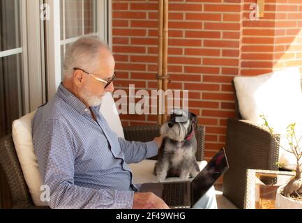Alter Mann mit Bart glücklich auf der Terrasse arbeitet von Zuhause mit Laptops mit seinem Hund Stockfoto