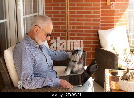 Alter Mann mit Bart glücklich auf der Terrasse arbeitet von Zuhause mit Laptops mit seinem Hund Stockfoto
