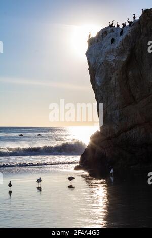 Sonnenuntergang Blick auf El Matador Strand Meereshöhle mit Meer Vögel entspannen auf der Meereshöhle und Strand Boden Stockfoto