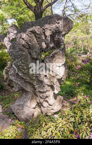 Suzhou, China - 3. Mai 2010: Bescheidener Verwaltungsgarten. Nahaufnahme der grauen Karstfelsskulptur von Natur, umgeben von grünem Laub mit rosa Blüten. Stockfoto