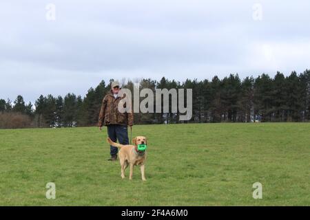 Mann mit einem gelben Labrador mit einem grünen Spielzeug im Mund, ein Mann und sein Hundekonzept Stockfoto