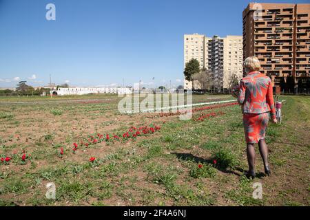 Rom, Italien. März 2021, 19th. Holländischer Botschafter in Italien Desiree Bonis im TuliPark in Rom (Foto: Matteo Nardone/Pacific Press/Sipa USA) Quelle: SIPA USA/Alamy Live News Stockfoto