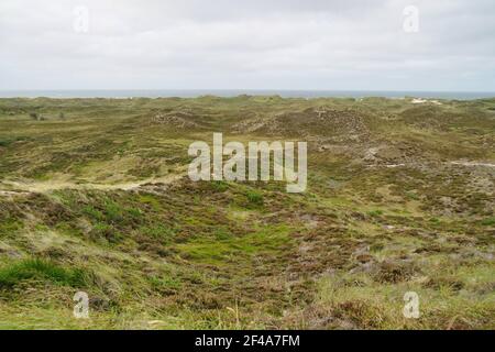 Jütland, Wildnis Landschaft an bewölkten Tag mit Nordsee in weit Stockfoto