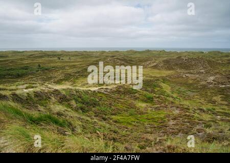 Jütland, Wildnis Landschaft an bewölkten Tag mit Nordsee in weit Stockfoto