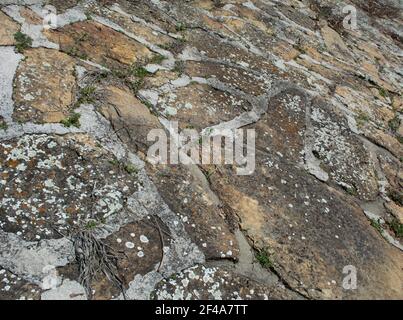 Flechten, die auf einer Kalksteinmauer wachsen, geben das Aussehen von Farbspritzern. Stockfoto