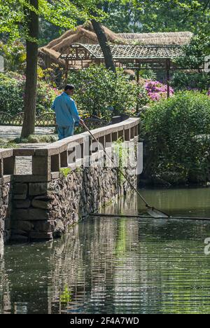 Suzhou, China - 3. Mai 2010: Bescheidener Verwaltungsgarten. Arbeiter in blauem Gewand schaufelt Müll aus dem grünen Bach, der auf einer grauen Steinwand steht Stockfoto