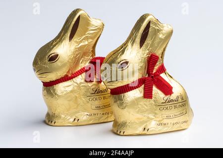 Zwei Lindt Goldhasen isoliert auf weißem Hintergrund. Milchschokolade Osterhasen in goldene Folie mit einem roten Band eingewickelt, von Lindt ... Stockfoto