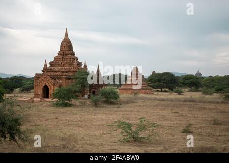 BAGAN, NYAUNG-U, MYANMAR - 2. JANUAR 2020: Einige alte und historische buddhistische Tempel an einem trockenen Feld zwischen den Bäumen Stockfoto