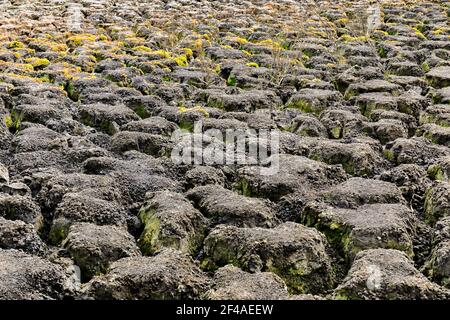 Dry Lake Formationen Stockfoto
