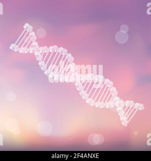 DNA-Doppelhelix, Abbildung Stockfoto