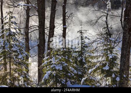 Frigider Morgen auf dem Chippewa River im Norden von Wisconsin. Stockfoto