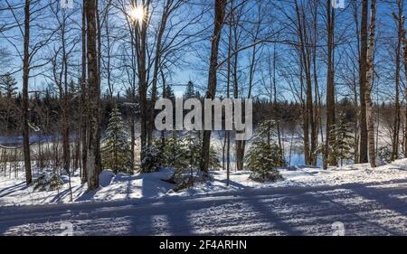 Ein frigider Morgen auf dem Chippewa River im Norden von Wisconsin. Stockfoto