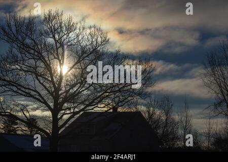 Das raue Morgenlicht erzeugt ein unheimliches Gefühl in einem nördlichen Wisconsin Gehöft. Stockfoto