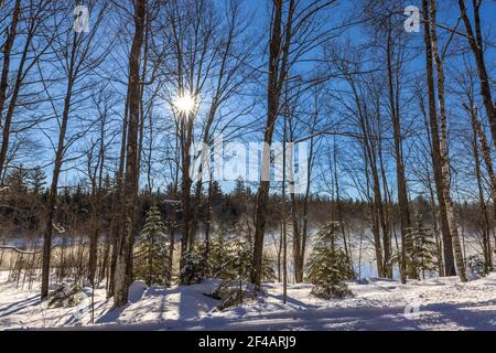 Ein frigider Morgen auf dem Chippewa River im Norden von Wisconsin. Stockfoto