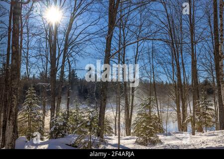 Ein frigider Morgen auf dem Chippewa River im Norden von Wisconsin. Stockfoto