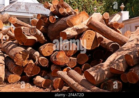 Gestapelt aus Kautschukholz oder Parawood-Holz für Bauwerke Hintergrund und Textur Stockfoto