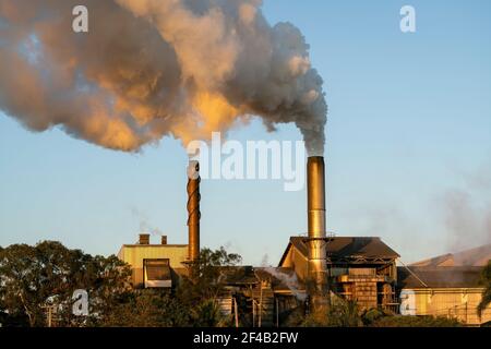 Emissionen aus einer Zuckerfabrik Stockfoto