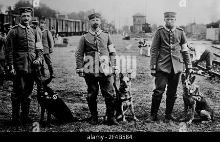 Deutsche Rotkreuz-Hunde können. 1914-1915 Stockfoto