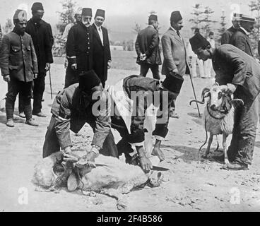 Türken opfern Tiere vor dem Kampf, möglicherweise während des ersten Weltkriegs Stockfoto