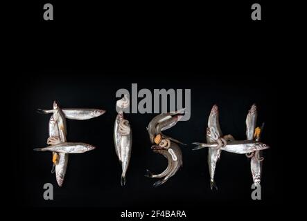 Kreatives Layout aus Fisch. Fischfutter-Konzept. Flach liegend. Draufsicht, Kopierbereich Stockfoto