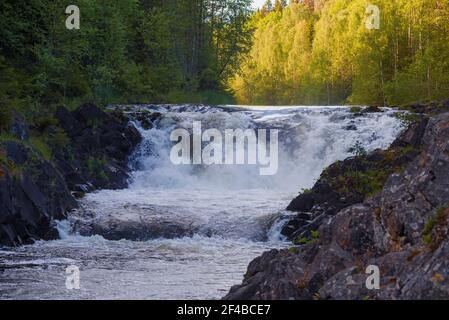 Die obere Schwelle des Kivach Wasserfalls an einem sonnigen Juniabend. Karelien, Russland Stockfoto