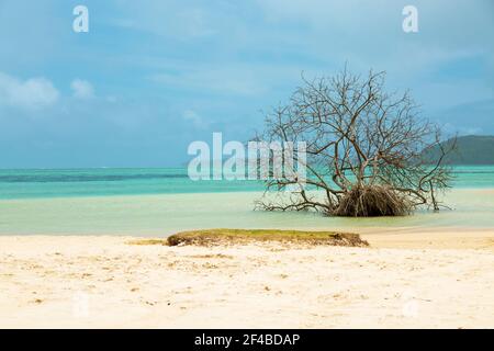 Baie du Cap Beach i liegt im Süden von Mauritius. Stockfoto