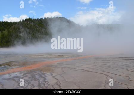 Spätfrühling im Yellowstone National Park: Heller Streamer aus der dampfbedeckten Grand Prismatic Spring der Excelsior Group im Midway Geyser Basin Stockfoto