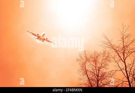 Flugzeug vor dem Hintergrund eines roten Himmels mit der Sonne über trockenen Ästen. Transport auf Reisen Stockfoto