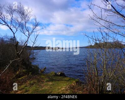 Mochrum Loch, Mochrum Lochs , in der Macherregion von Wigtownshire, Dumfries & Galloway, Schottland (nicht zu verwechseln mit dem gleichnamigen loch in South Ayrshire) ------ Mochrum Loch(s) ist ein großer, unregelmäßig geformter, flacher süßwasserloch, der Teil des Mochram Estate in Dumfries und Galloway im Südwesten Schottlands ist Stockfoto