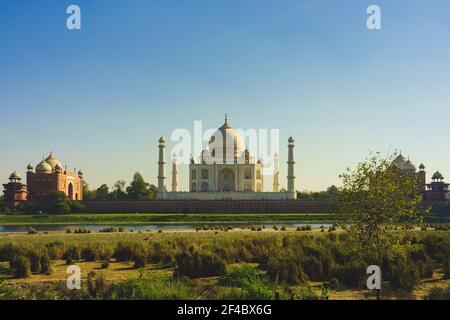 Taj Mahal, UNESCO-Weltkulturerbe, in Agra, Indien in der Abenddämmerung Stockfoto