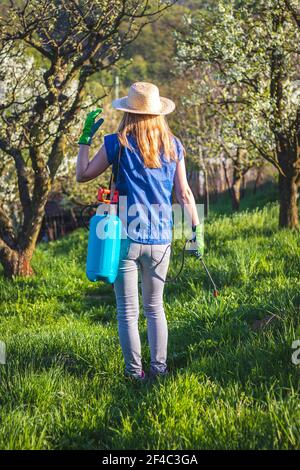 Landwirt mit Strohhut steht in blühenden Obstgarten und hält Feldspritze im Frühjahr. Gartenarbeit im Frühjahr. Stockfoto