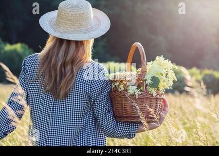 Frau mit Strohhut hält Weidenkorb und steht auf der Wiese. Holunderernte im Sommer Stockfoto