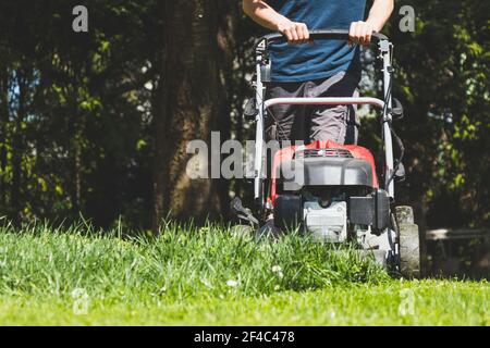 Rasenmähen mit einem Rasenmäher im Garten im Frühling. Rasenmähen an sonnigen Tagen. Stockfoto