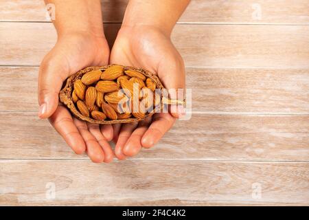 Hände mit geschälten Mandeln - Prunus dulcis Stockfoto