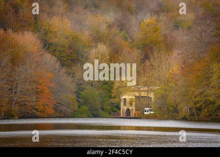 Wald um den Stausee Santa Fe de Montseny im Herbst (Provinz Barcelona, Katalonien, Spanien) ESP: Bosque de los alrededores de Santa Fe Stockfoto