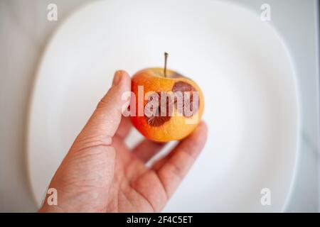 Nahaufnahme einer menschlichen Hand, die einen leicht degradierten Apfel hält, isoliert auf einem weißen Hintergrund mit einem Kopierraum. BIOFRUITS neigen dazu, schneller zu verrotten als Bio-Mo Stockfoto