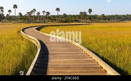 Boardwalk über dem Salzmarsch bei Sonnenaufgang. Stockfoto