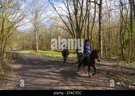 Ashford, Kent, Großbritannien. März 2021, 20th. UK Wetter: Angenehmer Samstagnachmittag Sonnenschein, während Familien durch die alten Wälder des Hamstreet Woods National Nature Reserve am Stadtrand von Ashford in Kent spazieren. Reiter genießen den Tag im Wald. Foto-Kredit: Paul Lawrenson/Alamy Live Nachrichten Stockfoto