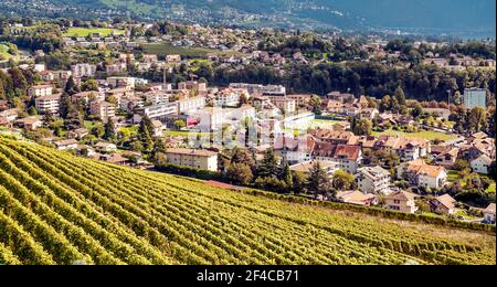 Weinberge in der Schweizer Stadt Genf in einem bewölkten Tag Stockfoto