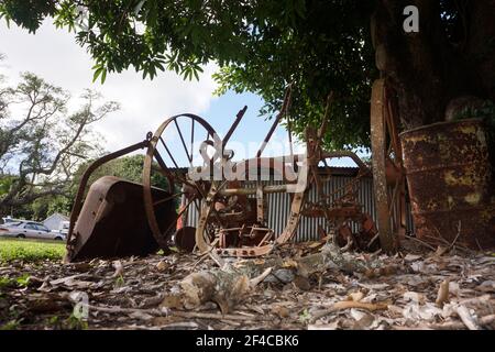Alte Landmaschinen, die in den Tropen zum Anpflanzen von Zuckerrohr verwendet wurden, Rost unter einem Mangobaum hinter einem Schuppen mit großen Treibstofffässern. Stockfoto
