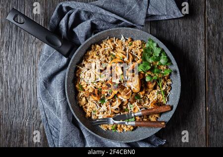 Klassisches cremiges Pilzrisotto mit geriebenem Parmesankäse in einer Pfanne, flaches Lay, italienische Küche Stockfoto