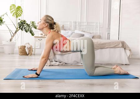 Junge athletische blonde Frau Yoga üben Asanas gepaart mit Katze Ausatmen Pose, Kuh, Bitilasana Pose, Training, in Sportswear, Voll Stockfoto