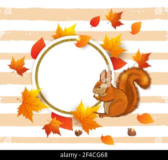 Herbst Vektor Hintergrund mit Eichhörnchen und orange Ahornblätter. Abstraktes rundes goldenes Banner für saisonalen Herbst Verkauf. Stock Vektor