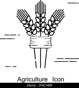 Spikelets Symbol der Landwirtschaft in einem linearen Stil. Zeilensymbol auf weißem Hintergrund isoliert. Vektorgrafik. Stock Vektor