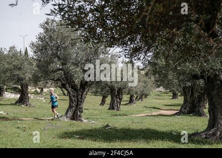 Ein Mann joggt durch einen Olivenhain, der zum Kloster Mar Elias gehört, einem griechisch-orthodoxen Kloster im Süden Jerusalems, das auf einem Hügel über dem Berg liegt Stockfoto