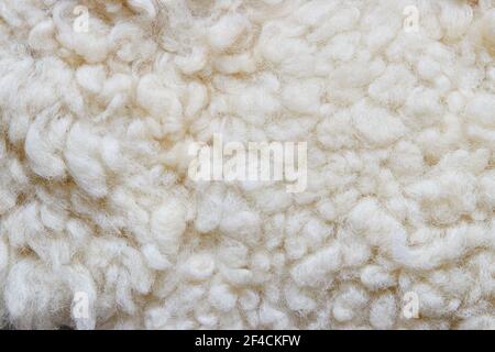 Weiße weiche Wolle Hintergrund, Detail eines natürlichen Schaffell Teppich. Stockfoto