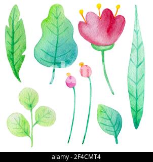 Set von Aquarellblumen und Blättern auf weißem Hintergrund. Handgezeichnete botanische Designelemente. Vektorgrafik Stock Vektor