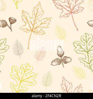 Herbst nahtlose Muster mit Eiche und Ahornblättern und Eicheln. Handgezeichneter Vektor Fall Hintergrund. Stock Vektor